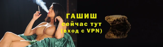 гашик Ладушкин