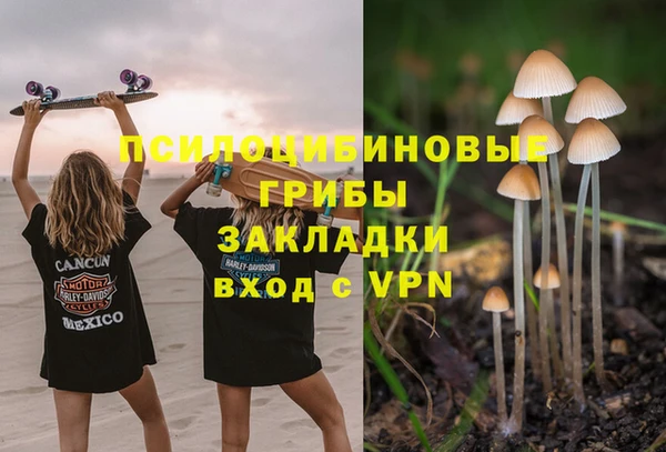 PSILOCYBIN Липки
