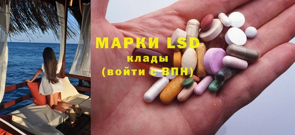 ПСИЛОЦИБИНОВЫЕ ГРИБЫ Бикин