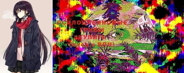 PSILOCYBIN Липки
