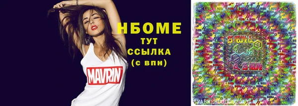 гашик Ладушкин