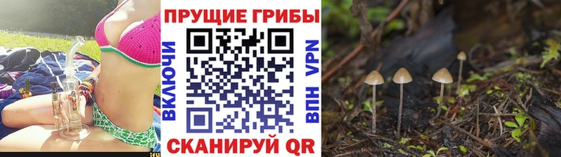 Галлюциногенные грибы GOLDEN TEACHER  Мариинский Посад 